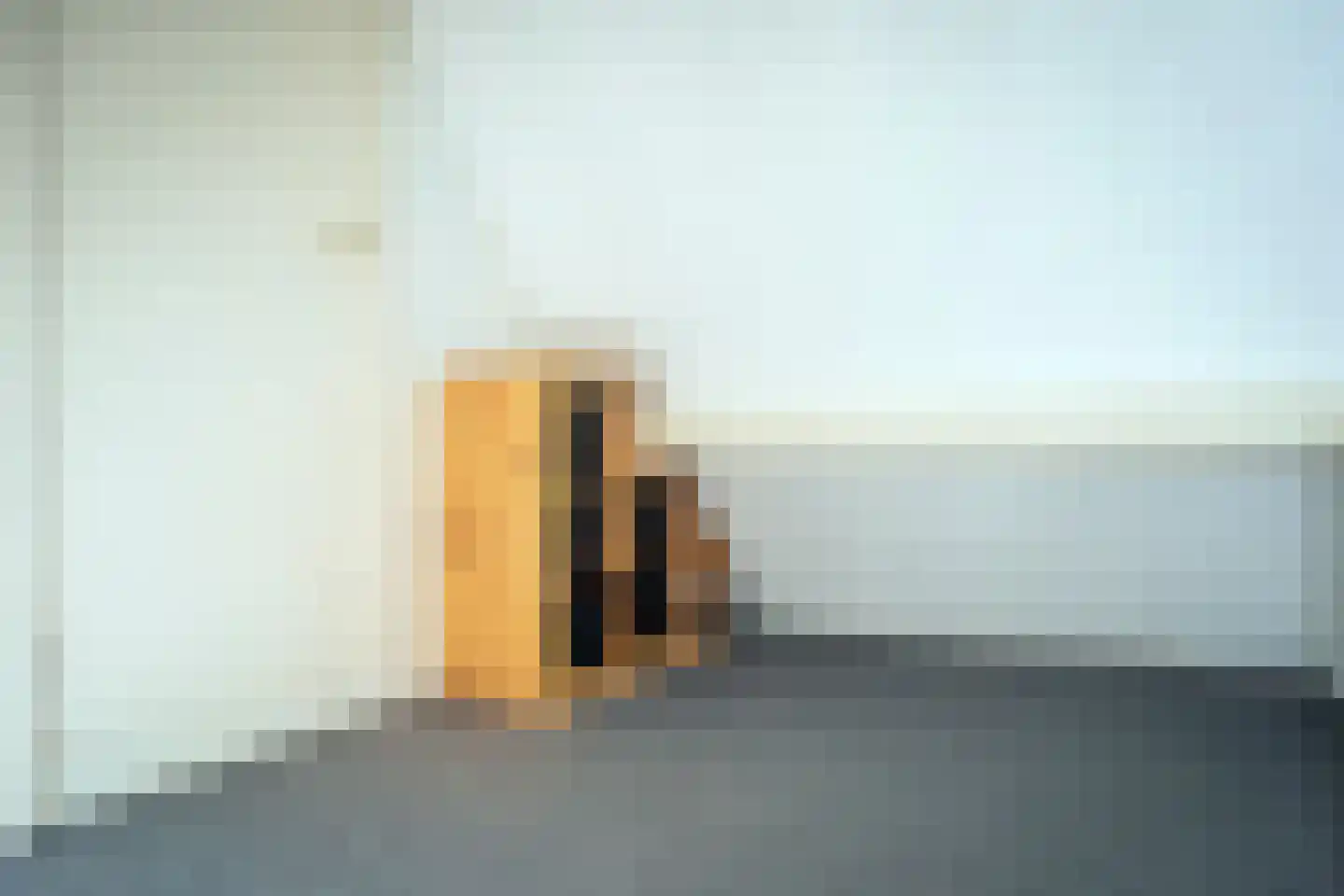 Schoudieck 47 Den Burg thumbnail 37