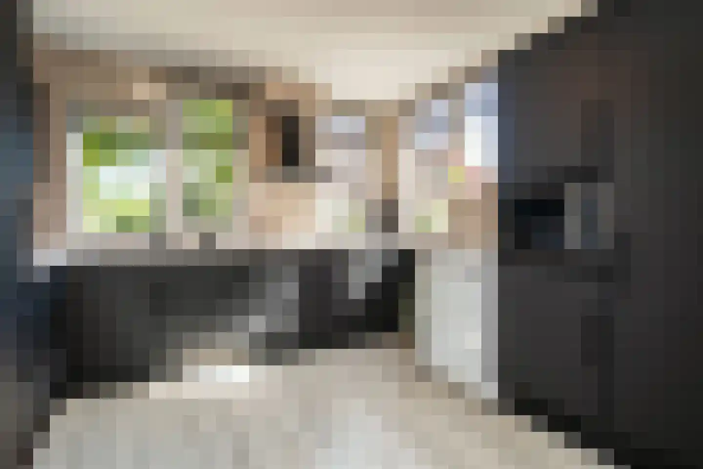 Schoudieck 47 Den Burg thumbnail 5