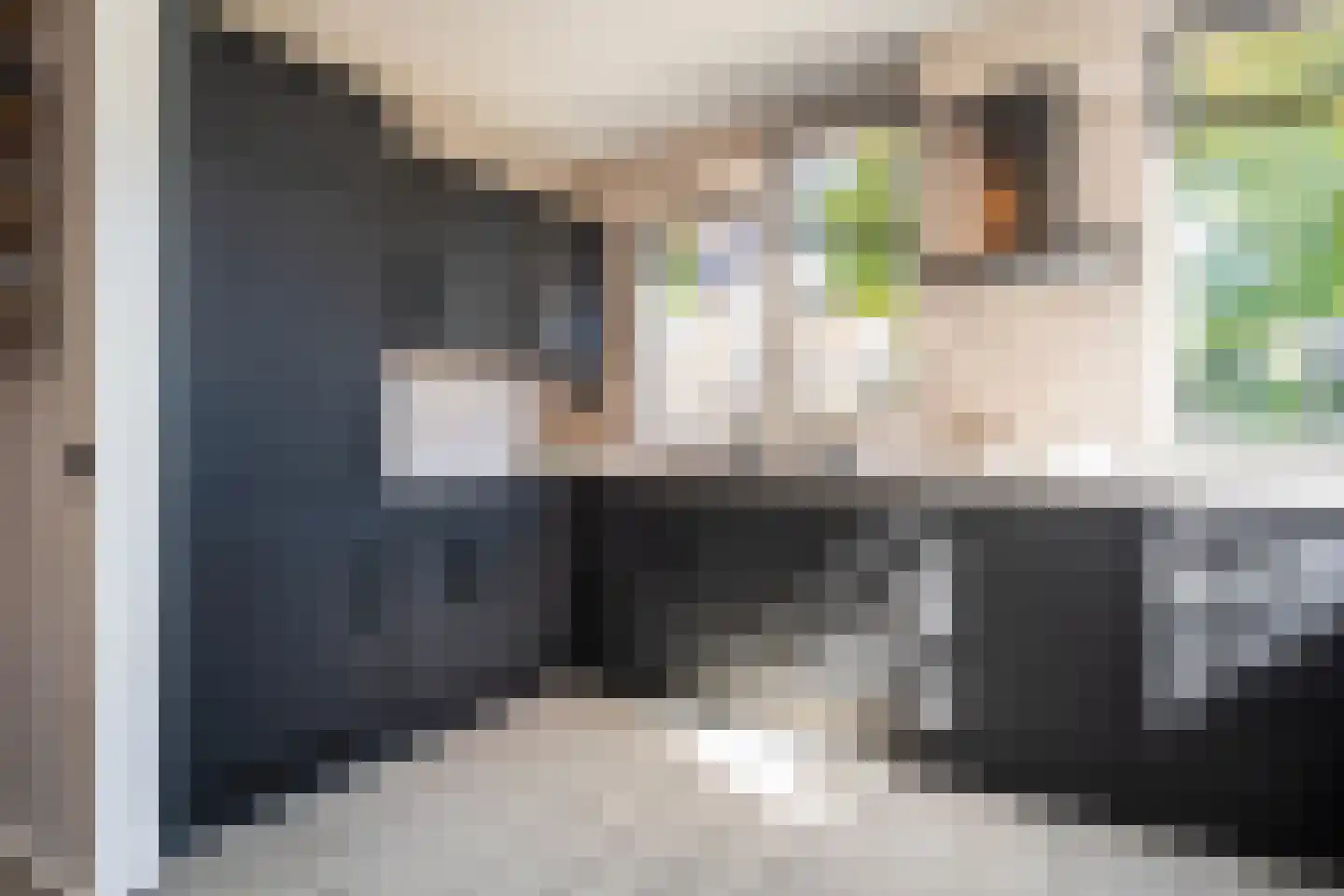 Schoudieck 47 Den Burg thumbnail 7