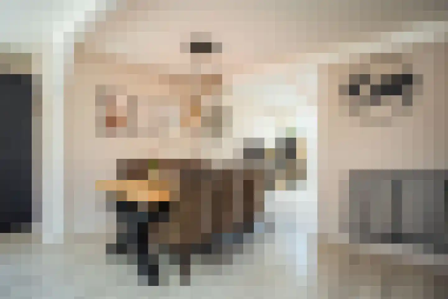 Schoudieck 47 Den Burg thumbnail 8