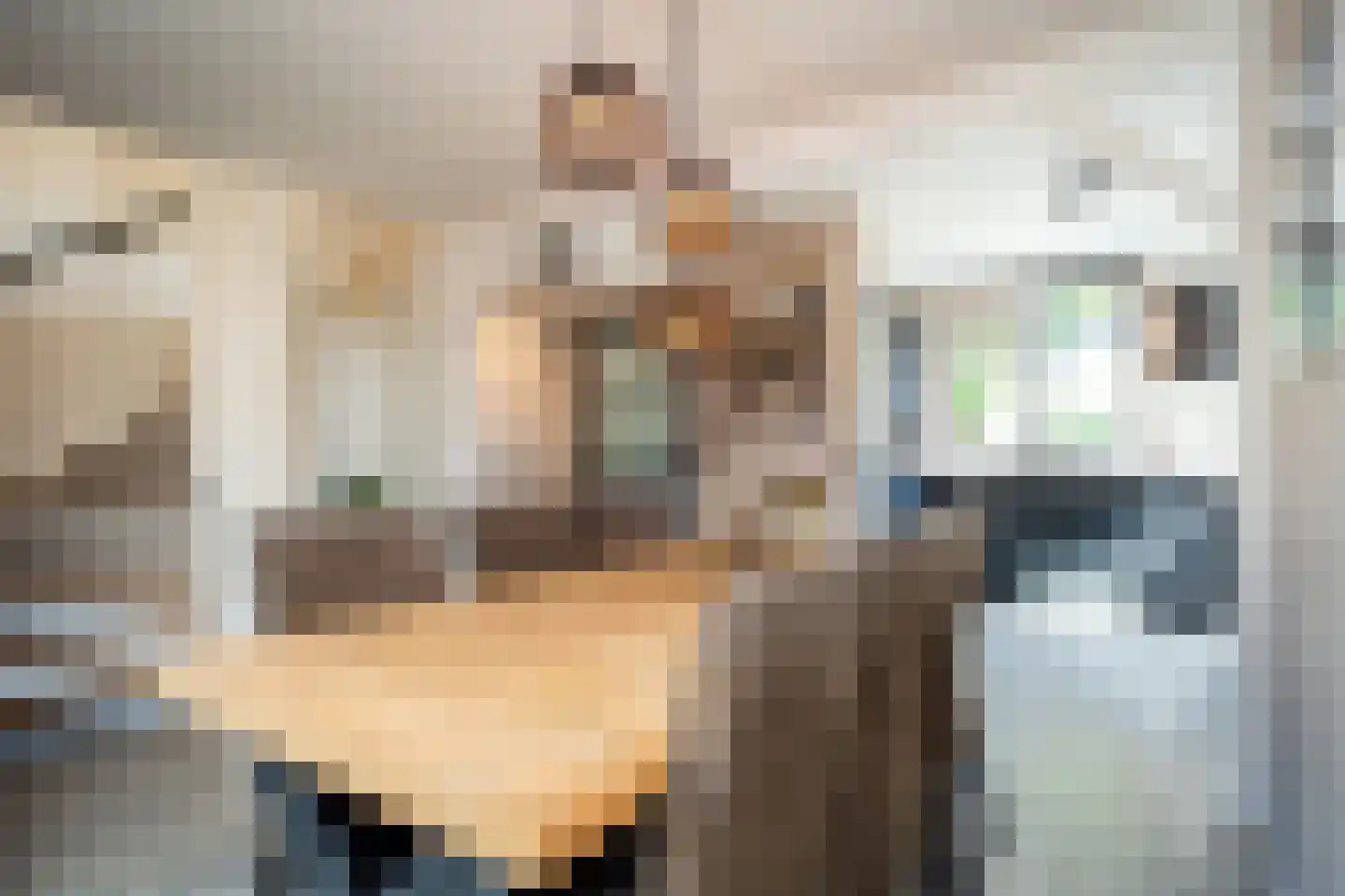 Schoudieck 47 Den Burg thumbnail 9