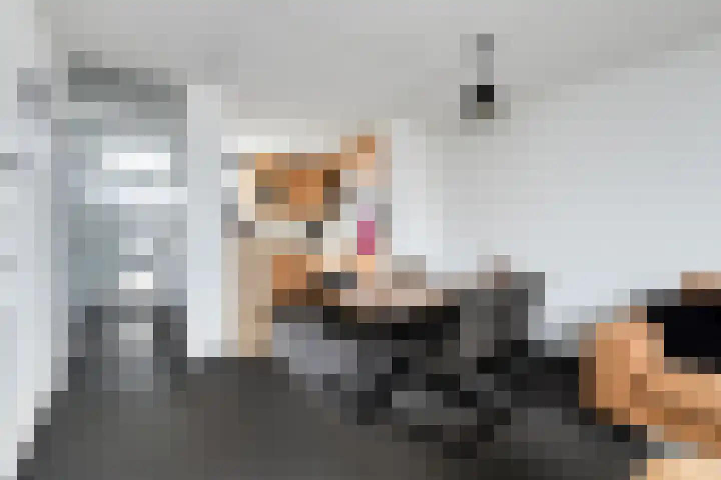 Schouffertsweide 8 Eygelshoven thumbnail 17
