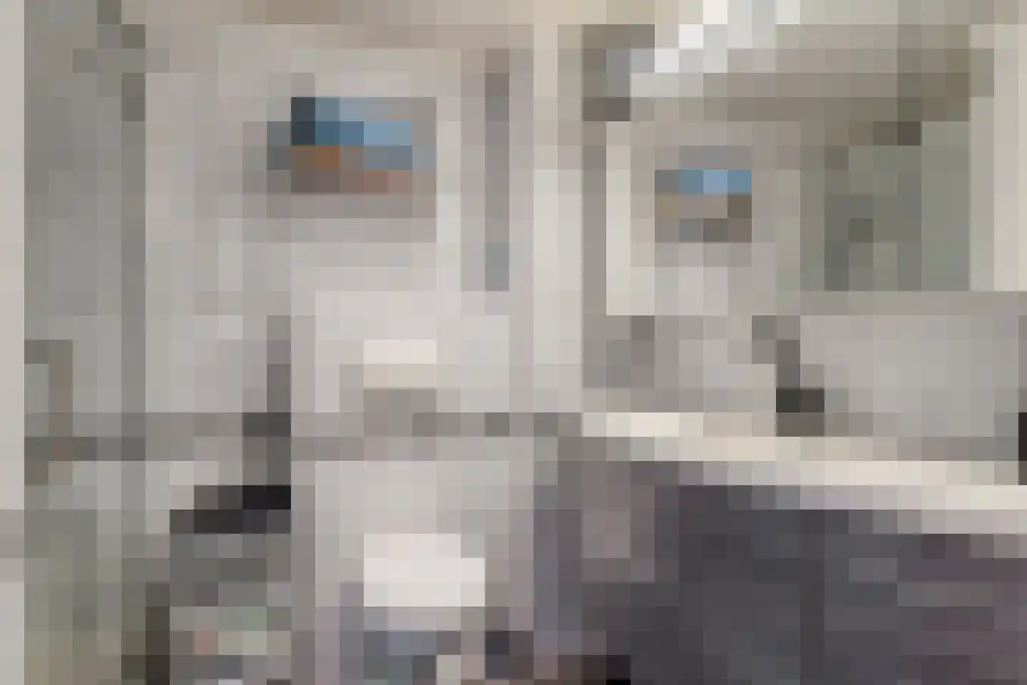 Schouffertsweide 8 Eygelshoven thumbnail 26