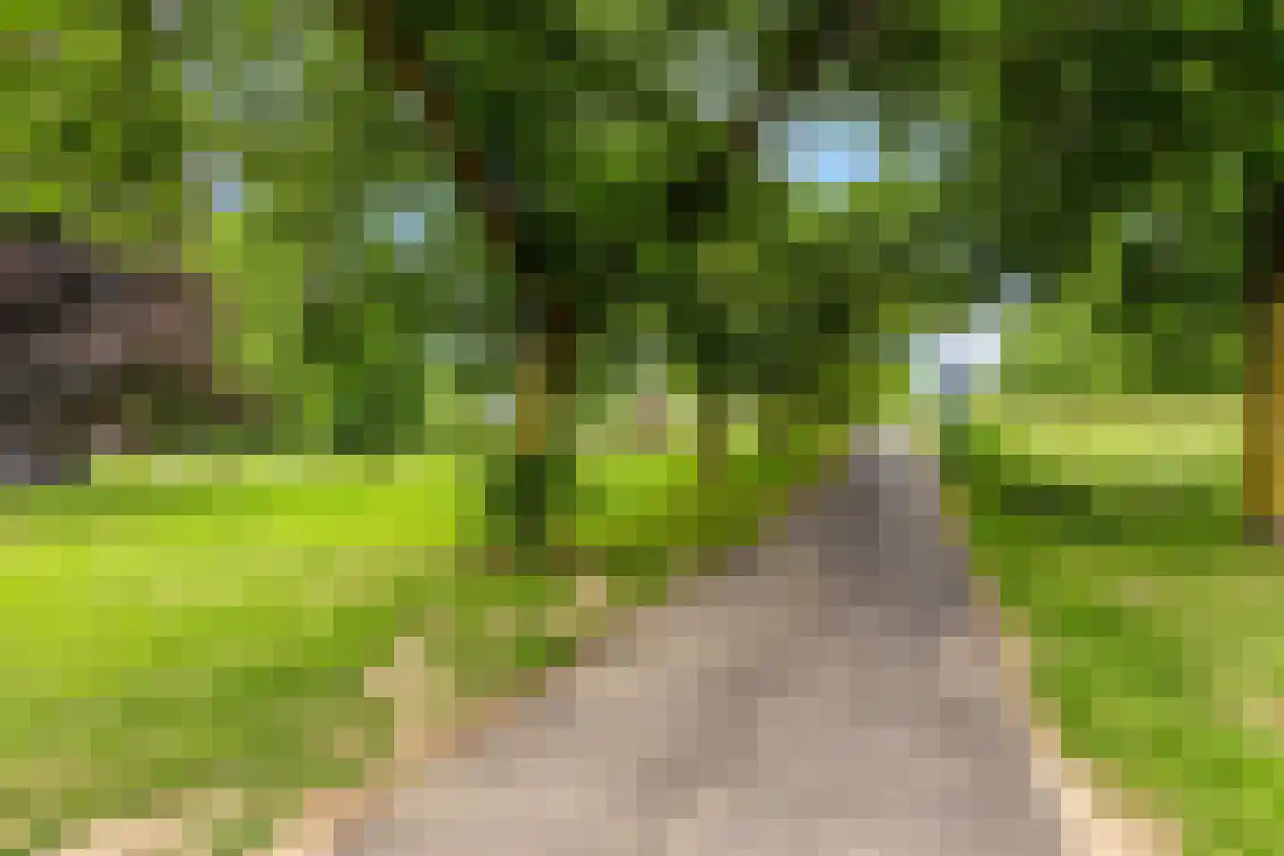 Schouffertsweide 8 Eygelshoven thumbnail 41