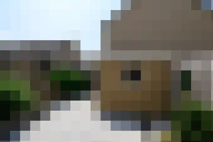 Schouman 13 Monster thumbnail 11