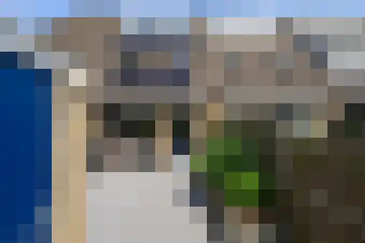 Schouman 13 Monster thumbnail 14
