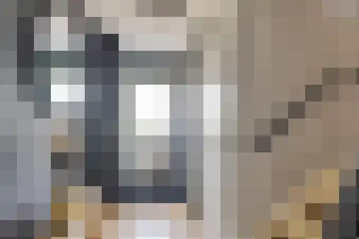 Schouman 13 Monster thumbnail 16