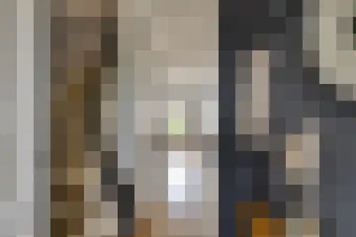 Schouman 13 Monster thumbnail 17