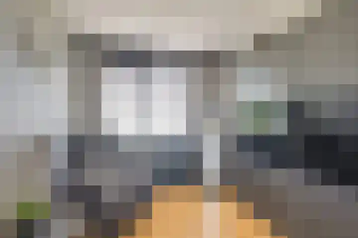 Schouman 13 Monster thumbnail 25
