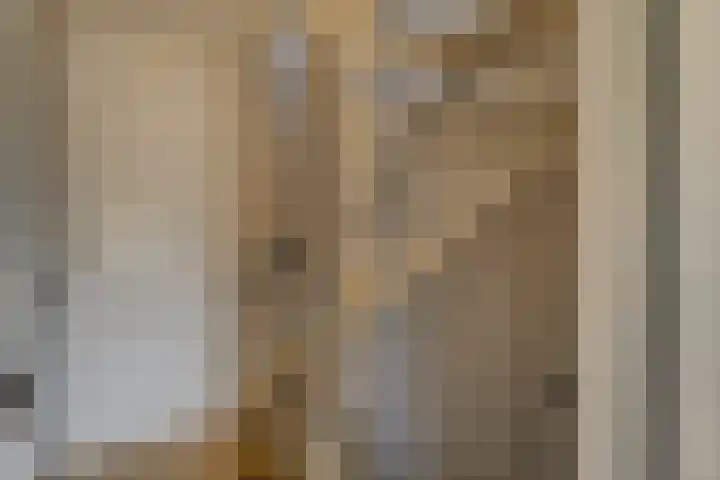 Schouman 13 Monster thumbnail 26