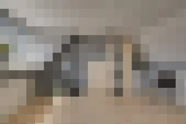 Schouman 13 Monster thumbnail 27