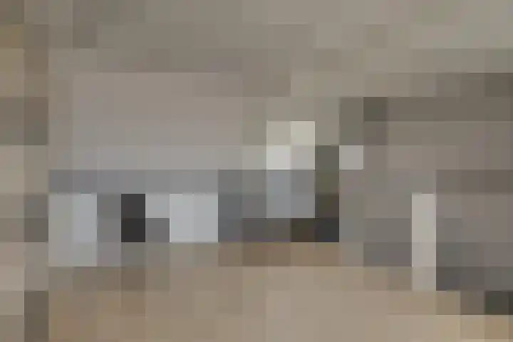 Schouman 13 Monster thumbnail 29