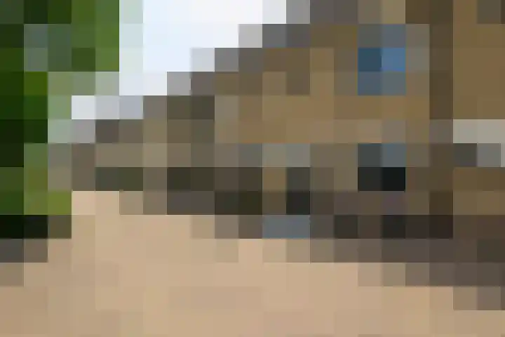 Schouman 13 Monster thumbnail 30
