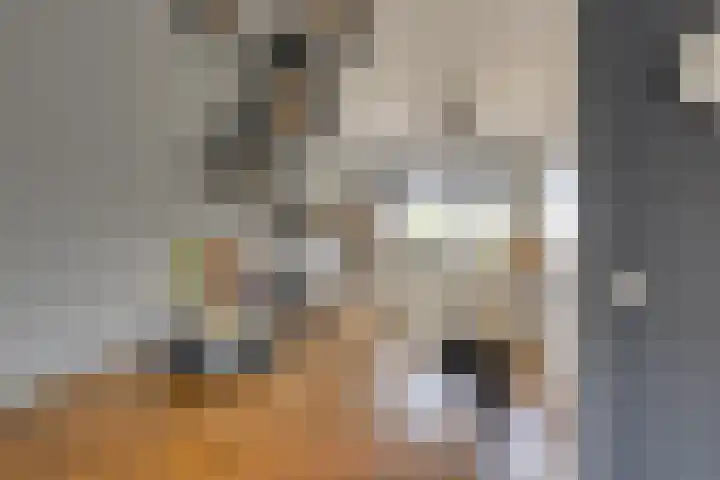 Schouman 13 Monster thumbnail 4