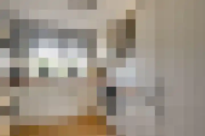 Schouman 13 Monster thumbnail 5