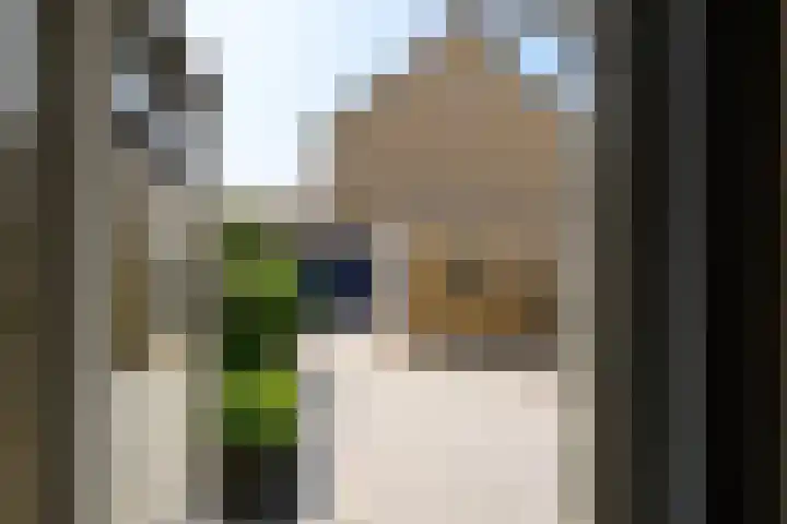 Schouman 13 Monster thumbnail 9
