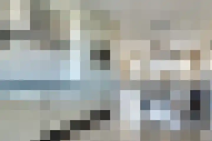 Schouman 15 Monster thumbnail 11