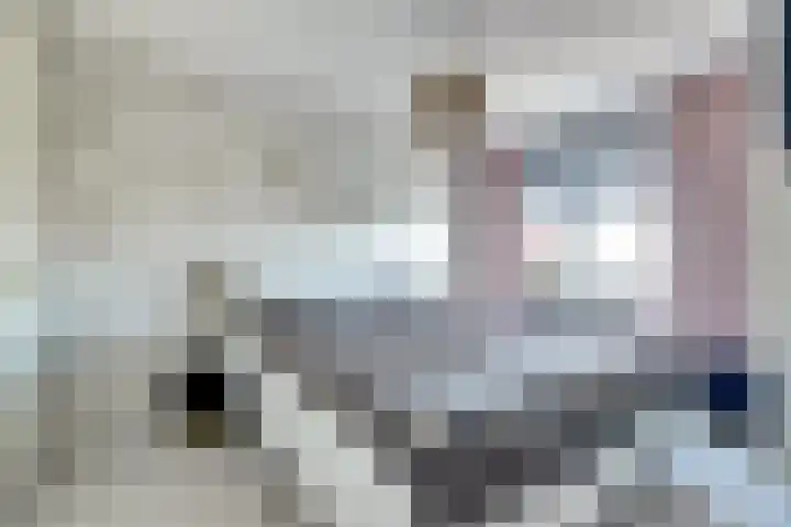 Schouman 15 Monster thumbnail 12