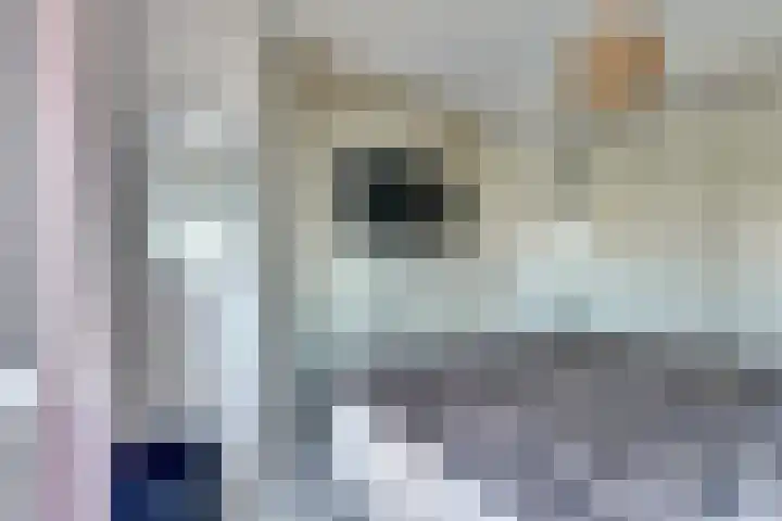 Schouman 15 Monster thumbnail 13