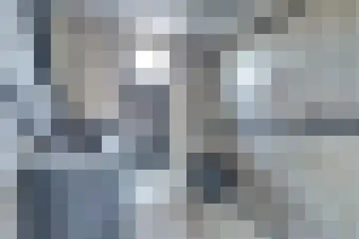 Schouman 15 Monster thumbnail 16