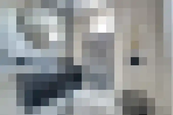 Schouman 15 Monster thumbnail 17