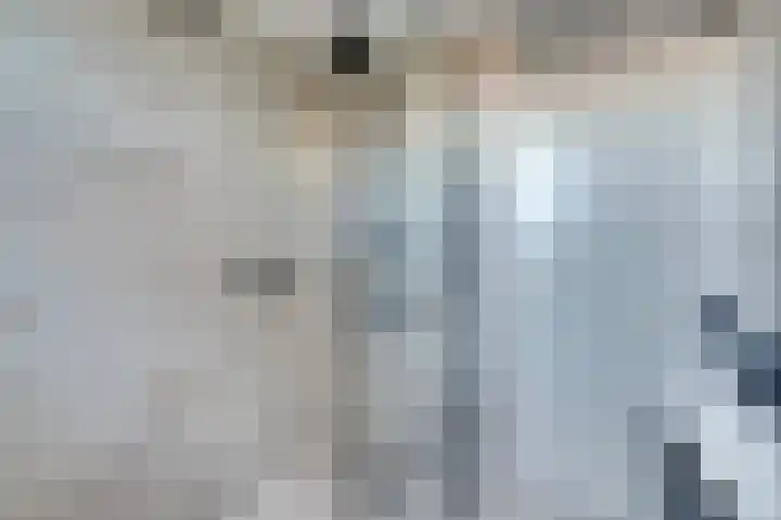 Schouman 15 Monster thumbnail 18