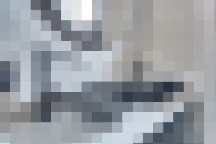 Schouman 15 Monster thumbnail 19