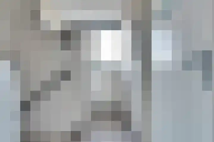 Schouman 15 Monster thumbnail 20