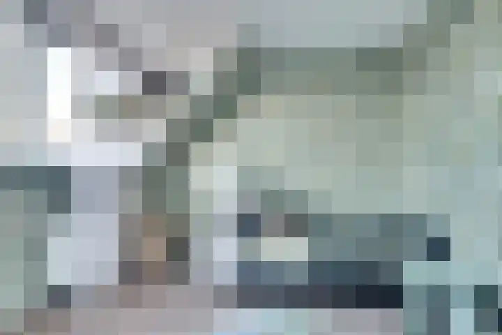 Schouman 15 Monster thumbnail 21