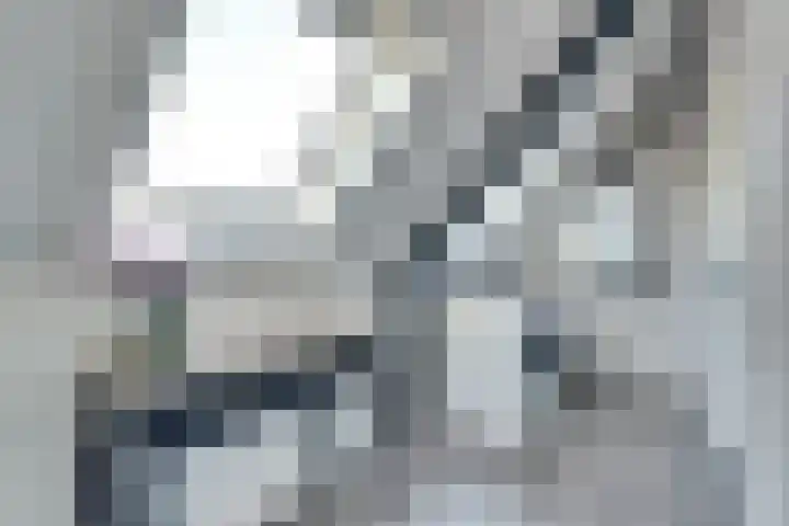 Schouman 15 Monster thumbnail 23