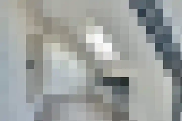 Schouman 15 Monster thumbnail 24