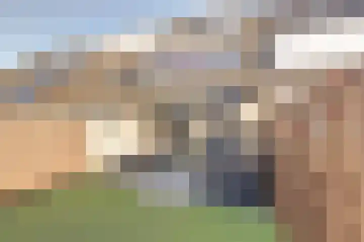 Schouman 15 Monster thumbnail 26