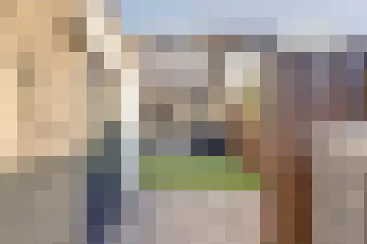 Schouman 15 Monster thumbnail 27