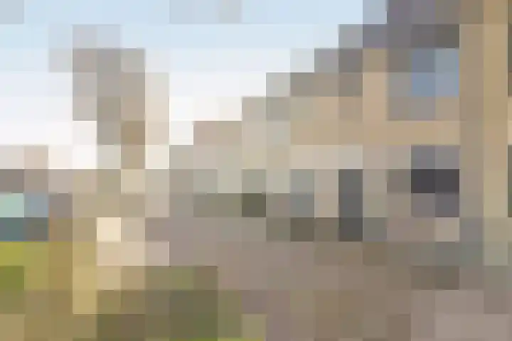 Schouman 15 Monster thumbnail 29