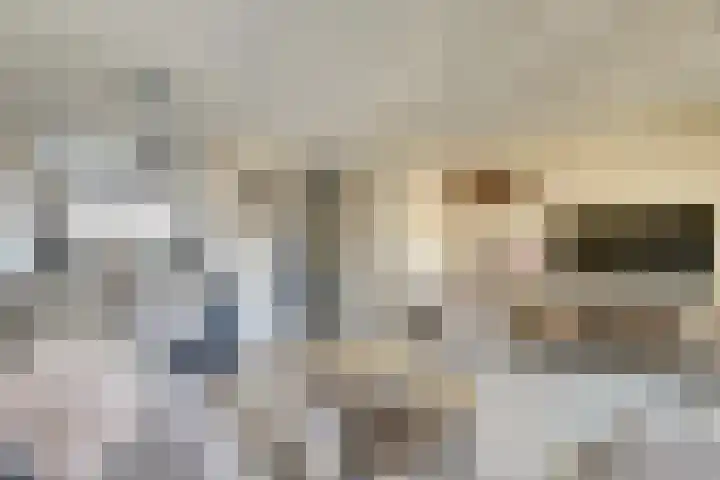 Schouman 15 Monster thumbnail 8