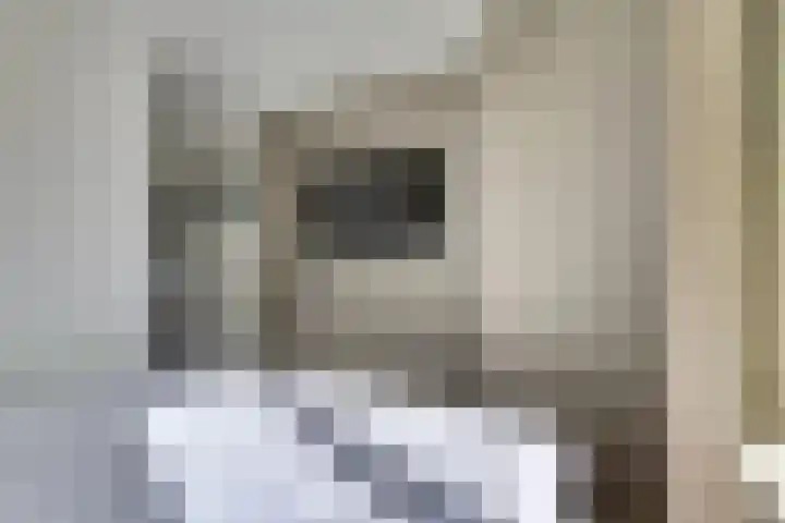 Schouman 3 Monster thumbnail 12