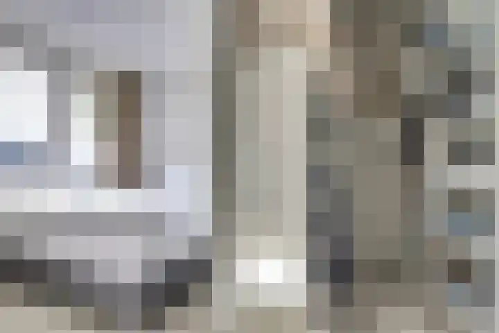 Schouman 3 Monster thumbnail 13