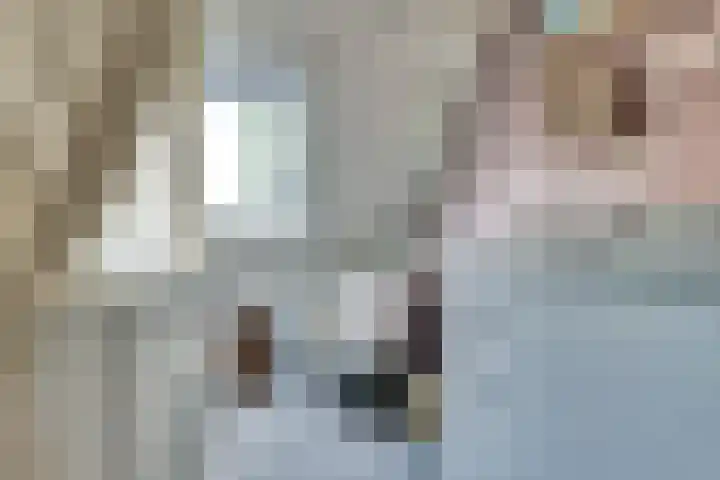 Schouman 3 Monster thumbnail 15