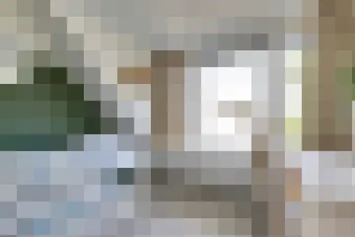 Schouman 3 Monster thumbnail 18