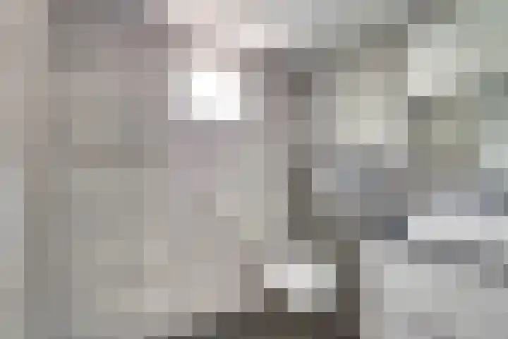 Schouman 3 Monster thumbnail 22
