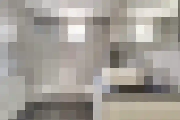 Schouman 3 Monster thumbnail 23