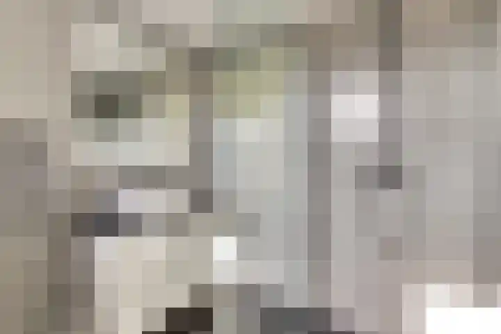 Schouman 3 Monster thumbnail 24