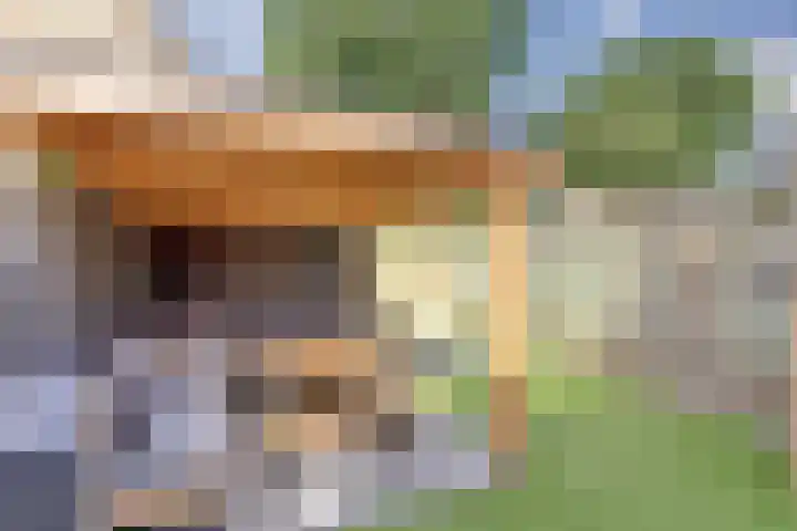 Schouman 3 Monster thumbnail 27