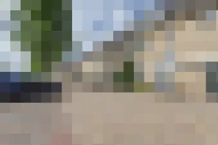 Schouman 3 Monster thumbnail 30