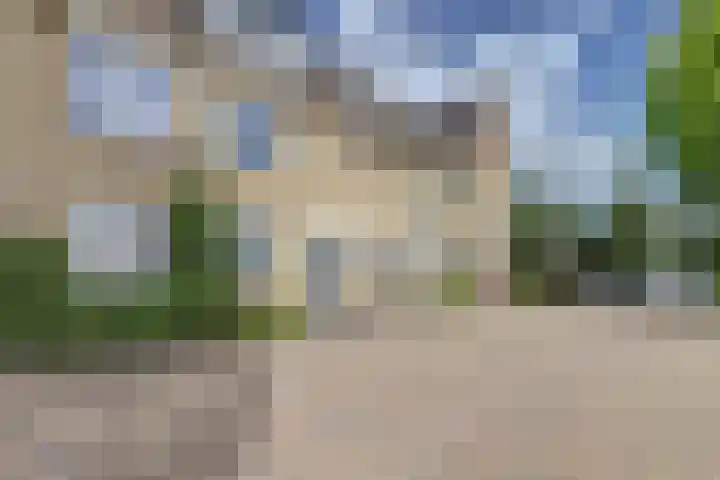 Schouman 3 Monster thumbnail 31
