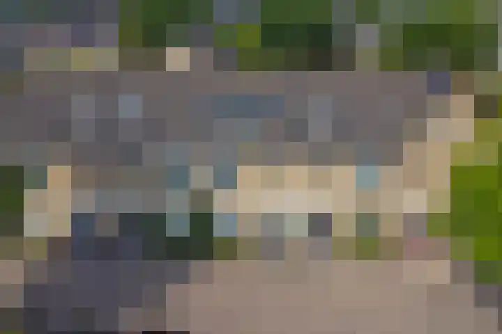 Schouman 3 Monster thumbnail 32