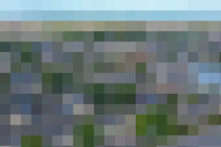 Schouman 3 Monster thumbnail 34
