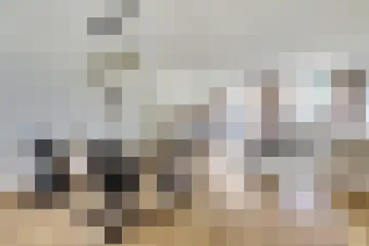 Schouman 3 Monster thumbnail 6