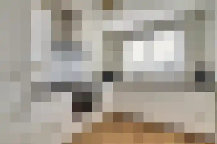 Schouman 3 Monster thumbnail 8