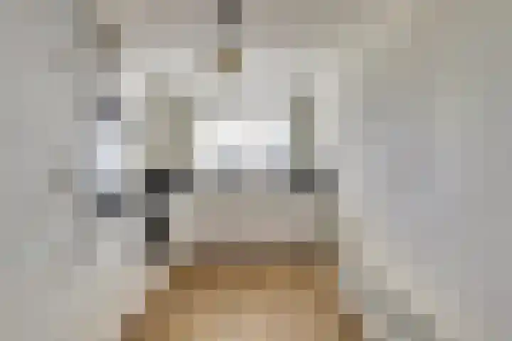 Schouman 3 Monster thumbnail 9